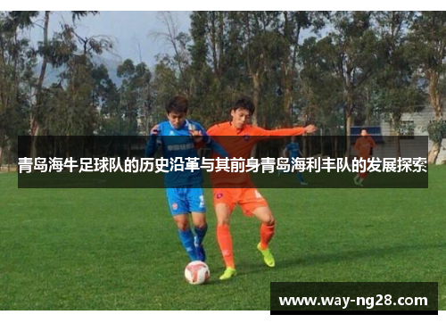 青岛海牛足球队的历史沿革与其前身青岛海利丰队的发展探索